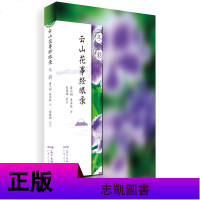 正版 云山花事经眼录系列4册 春色/夏影/秋韵 /冬彩 白云山赏花阅山 文化散文集 摄影图片 中国现当代随笔文