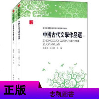 正版 新世纪普通高校汉语言文学教材:中国古代文学史通论+作品选(套装*四册) 大教材参考书 书籍 河南大