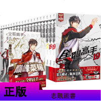[赠19张人物海报] 21册 全职高手小说 典藏版 全职高手全套正版 蝴蝶蓝小说巅峰荣耀 全职高手周边小说漫画王者