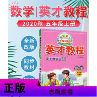 2020秋小学英才教程数学五年级上册北师大版BSD 小学教辅 5年级数学教程全解 英才教程五年级上 五年级上册数学北