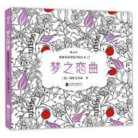 SK[后浪正版  ] 梦之恋曲:德国  的原创涂色书黑白世界的唯美恋曲等你谱写!秘密花园涂绘学院系列丛书绘画技法 销