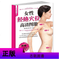 正版 3D经络穴位图册 男性+女性+人体反射区 3册 经络穴位高清图册 经络穴位教学书籍 福建科技挂图经络挂图