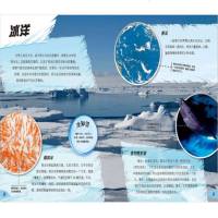 环球探索青少年版鲨鱼海域 海洋动物百科大全书 海底世界关于动物的书少儿百科全书6-8-12岁书籍鲨鱼书大百科中国少年