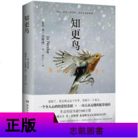 SK[正版 ]知更鸟 (挪威)尤·奈斯博(Jo Nesbo) 著;林立仁 译 现代/当代文学文学 新华书店正版图书