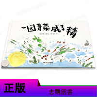 团圆绘本+一园青菜成了精非注音学校推荐阅读中国过年传统节日绘本3-6-8岁儿童阅读书籍小学生一二三年级课外书小学生推