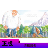 正版 孤独的巨人 苏菲 安布罗斯 绿色环保绘本 思考人与自然的关系儿童绘本图画书籍我和我的情绪 儿童文学 信谊绘本