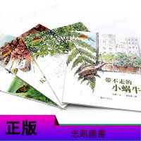 全4册 带不走的小蜗牛 小蜗牛自然图画书系 凌拂(文) 黄崑谋 海燕出版社套装 有一棵植物叫龙葵+五月木棉飞 适