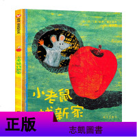 认知绘动漫/儿童丛书正版本图画小老鼠找0-3-6岁幼儿园启蒙启蒙图画书故事书绘本卡通/宝宝新家读物儿童书籍早教少儿