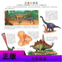 我的第一次恐龙大发现儿童地图绘本 儿童恐龙书大百科6-12岁小学生课外书籍图书 动物世界百科全书 5-8岁儿童专属恐