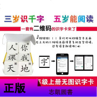 儿童早教无图识字卡 幼小衔接学习教材二年级上3-6岁启蒙认知学习卡片拼音认字幼儿园小班中大班一年级生字题卡小孩识字书