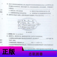 2019 励耘活页科学九年级全一册 浙教版初三单元检测期中测试期末特训同步试卷何林主编励耘书业