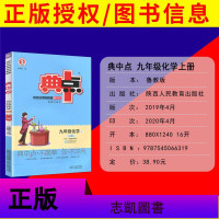 鲁教版 2020版典中点综合应用创新题九年级化学 (LJ版)典中点9年级上册初中初三中考复习典型易错题方法 培优练习