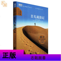 苦儿流浪记[法]埃克多.马洛/著 全译本 江苏凤凰文艺出版社 中小学少年儿童文学读物小说世界名著 大悦读精装系列