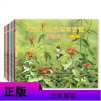 美国获奖科普绘本 全24册 我的小小自然博物馆·地球家园+动物朋友+生命奇迹十万个为什么小学儿童百科全书昆虫大百科我