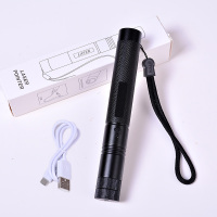 【绿激光+usb充电线】送满天星|激光手电绿光usb充电激光灯强光远射售楼沙盘指示笔驾校镭射灯笔