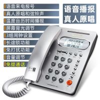 5502-银色-来电报号-免提通话|电话机座机固定电话家用酒店办公商务电话电信联通移动Y6