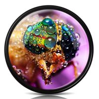 55mm 近摄镜摄影师专用|微距镜 单反镜头近摄镜 相机滤镜放大镜52/55/58/62/67/72/77D7