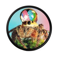 82mm 近摄镜摄影师专用|微距镜 单反镜头近摄镜 相机滤镜放大镜52/55/58/62/67/72/77D7