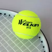 WELKIN网球(普通球)|网球初学者高弹性耐打训练单人带线网球弹力绳回弹比赛按摩宠物球