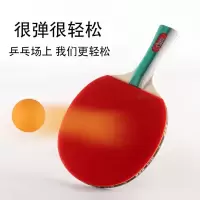 初学者比赛训练儿童学生成人乒乓球拍多款可选乒乓球横拍直拍A6