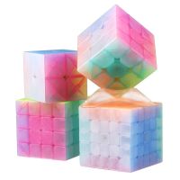 二阶三阶四阶五阶金字塔魔方实色磁力魔方果冻碳纤维套装Y6