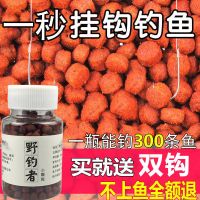 春夏钓野钓者颗粒鱼饵鲤鱼鲫鱼罗非鱼食颗粒饵料直接挂钩鱼饵野钓P4