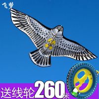 经典老鹰风筝 微风易飞 新款儿童风筝带线轮初学者卡通吓鸟