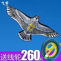 经典老鹰风筝 微风易飞 新款儿童风筝带线轮初学者卡通吓鸟
