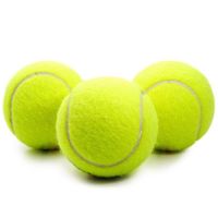 宠物网球15个装|宠物玩具球网球弹力球耐咬磨牙网球狗狗金毛泰迪拉布拉多猫咪训练O3