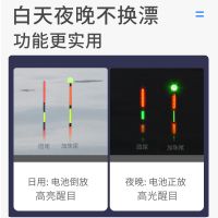 日夜两用夜光漂纳米超亮醒目高灵敏轻口鲫鱼鲤鱼漂大物电子漂浮漂