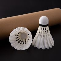 12只家庭训练白羽|羽毛球12支装6支装耐打羽毛球白色黑色室外学习训练球A8