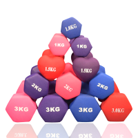 小哑铃女士一对2kg健身器材家用1男学生减肥3瘦臂4瑜伽练胸铁亚铃S2