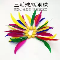 小头球6个|板羽球拍套装三毛球室内板球羽球拍乒羽球带拍毽子毽球拍S7