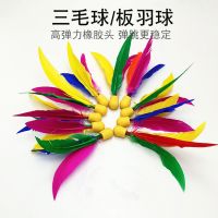 小头球10个|板羽球拍套装三毛球室内板球羽球拍乒羽球带拍毽子毽球拍S7