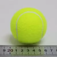 宠物网篮球一个装|初级训练网球儿童训练网球狗狗耐咬网球初学者高弹力练习训练网球I5