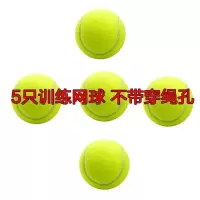 5个初级训练网球|单人网球带线回弹带绳网球训练器固定练习器用球弹力绳网球练习球J4