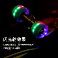 滑板成人儿童初学者四轮专业刷街板滑板车长板男女学生双翘青少年