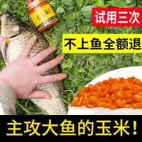 玉米颗粒鱼饵料鲫鲤鱼草鱼钓饵浮钓珠180克/500克底窝打窝料X0