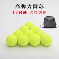 10个装(送收纳袋)|网球初学者练习高弹性耐打训练网球耐磨初中级比赛专用按摩宠物球T1