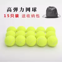 15个装(送收纳袋)|网球初学者练习高弹性耐打训练网球耐磨初中级比赛专用按摩宠物球T1