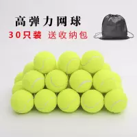 30个装(送收纳袋)|网球初学者练习高弹性耐打训练网球耐磨初中级比赛专用按摩宠物球T1