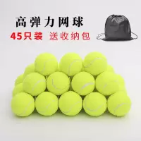 45个装(送收纳袋)|网球初学者练习高弹性耐打训练网球耐磨初中级比赛专用按摩宠物球T1
