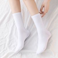 纯色直条[长筒一双装]1白|袜子女韩版 中筒男春夏季薄款jk长袜子防臭篮球袜短袜ins长筒潮流R8