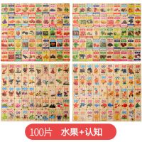 多米诺100粒双面大彩盒装-水果认知|多米诺骨牌双面看图识字数字拼音木制积木早教益智儿童玩具