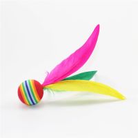 大头球2个|高弹板羽球三毛毽球三毛球板羽球不含球拍 大头三毛球 大头板羽球V4