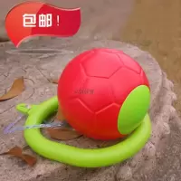 跳跳球 蹦蹦球 儿童健身 玩具球 跳跳环炫舞闪光跳跳球D6