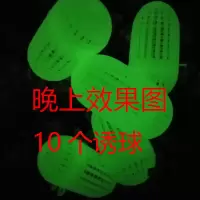 10个诱球|夜光饵料球诱饵球虾笼黄鳝笼饵料盒饵料杯泥鳅龙虾网饵料笼R8