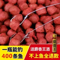 饵料颗粒鱼饵直接挂钩通杀鲫鱼鲤鱼草鱼打窝料野食小药饵M5