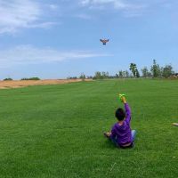 吓鸟老鹰风筝1.2子布前撑杆新款儿童潍坊厂家带线轮P6