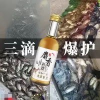 麝香酒小药鱼饵饵料添加剂野钓黑坑鲫鱼鲤鱼草鱼打窝料诱鱼剂E8
